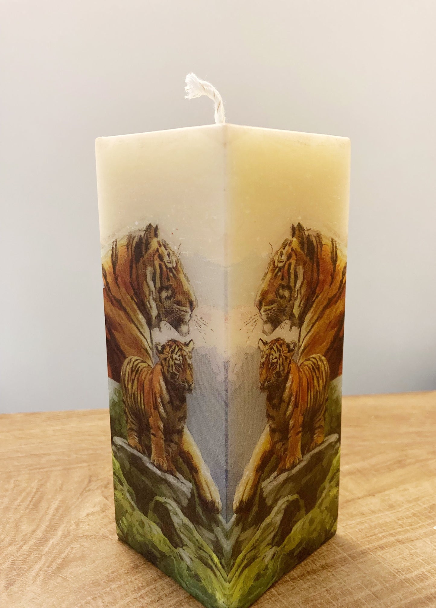 Tigers Reflecting Candle