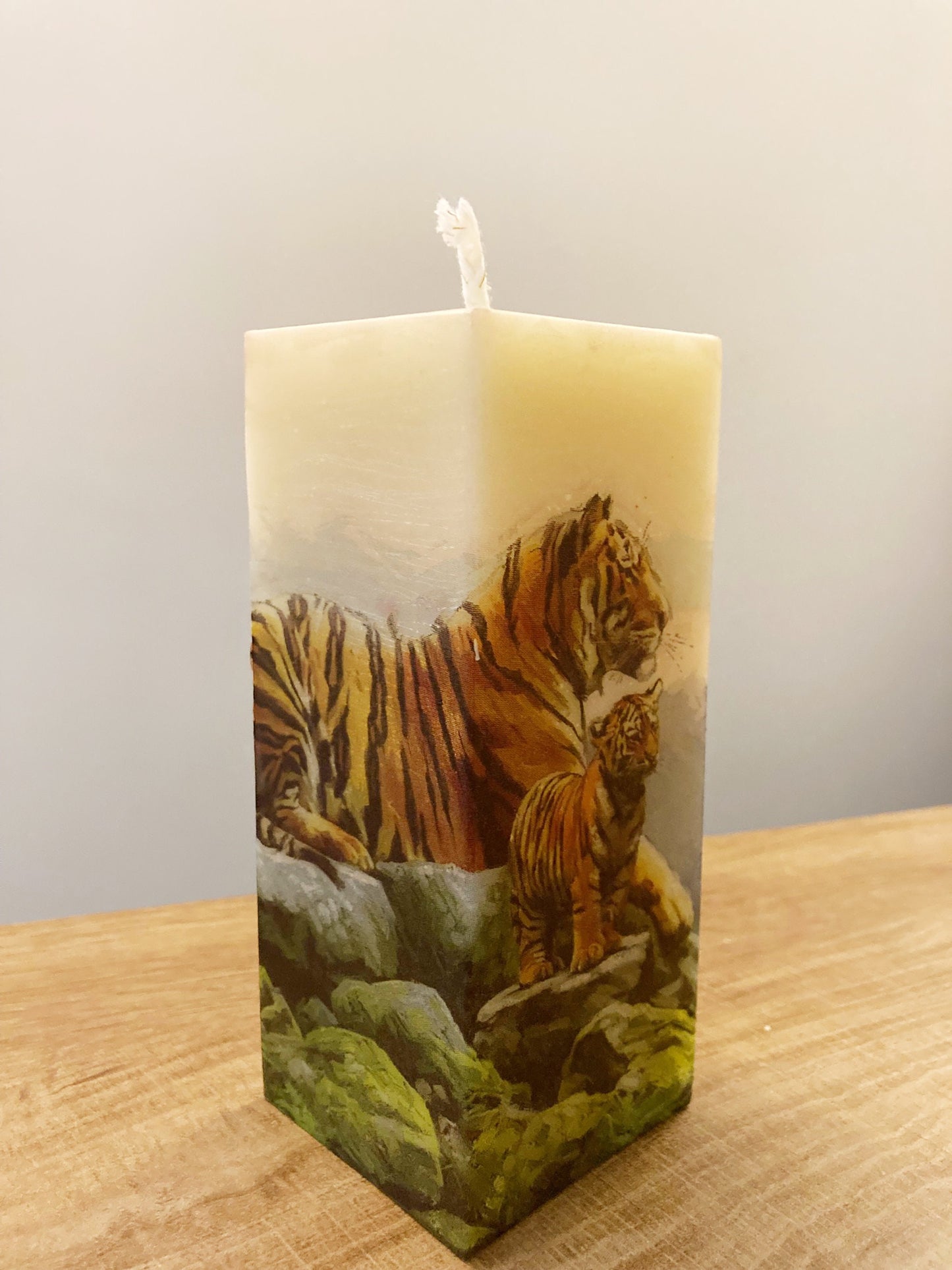 Tigers Reflecting Candle