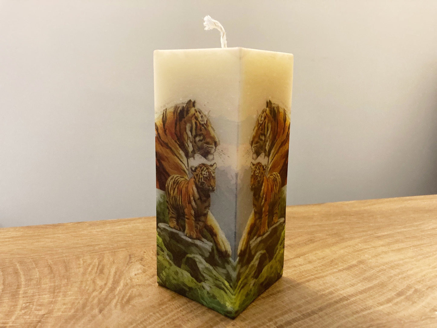 Tigers Reflecting Candle
