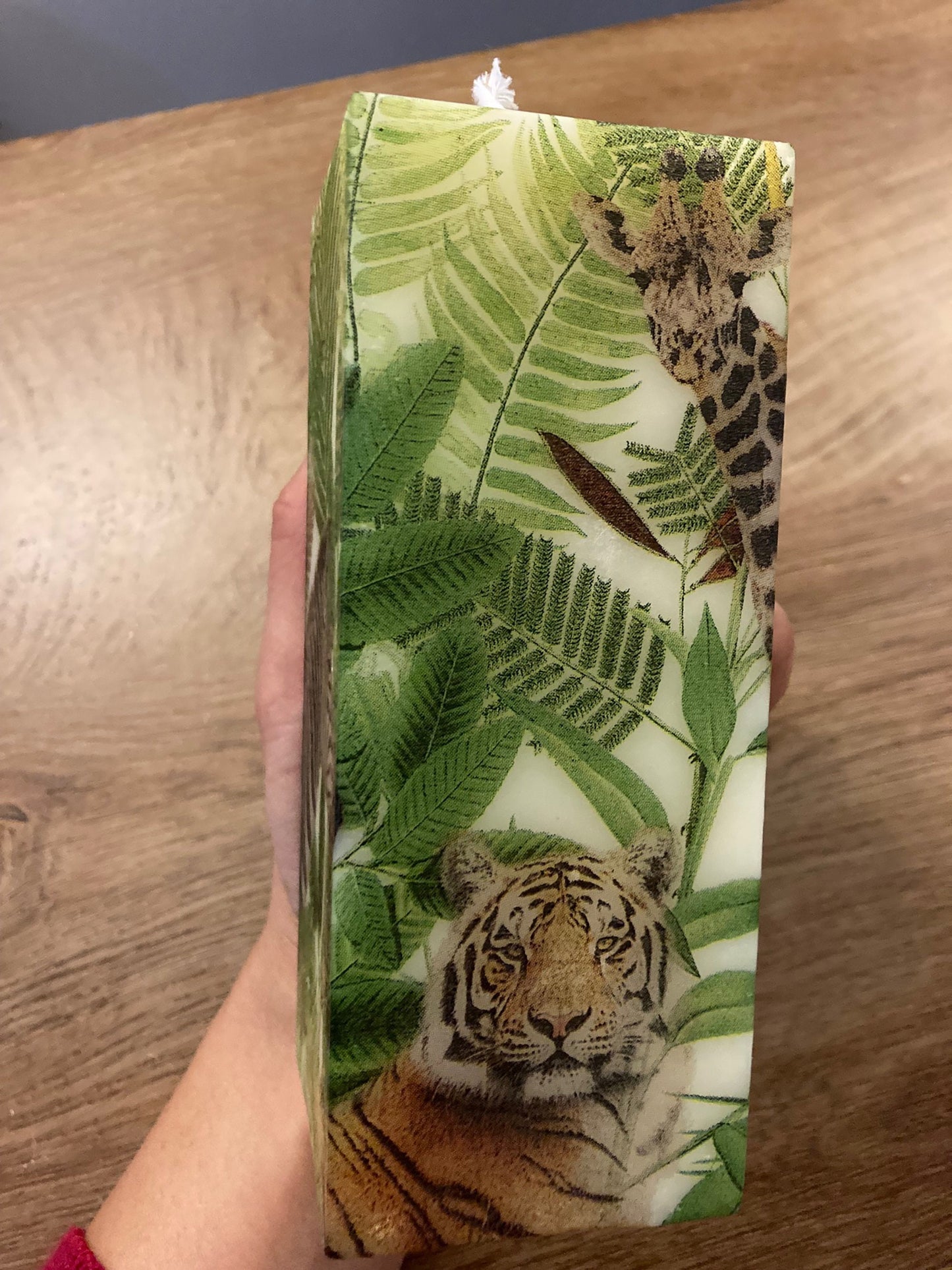 Tiger and Safari Friends Candle