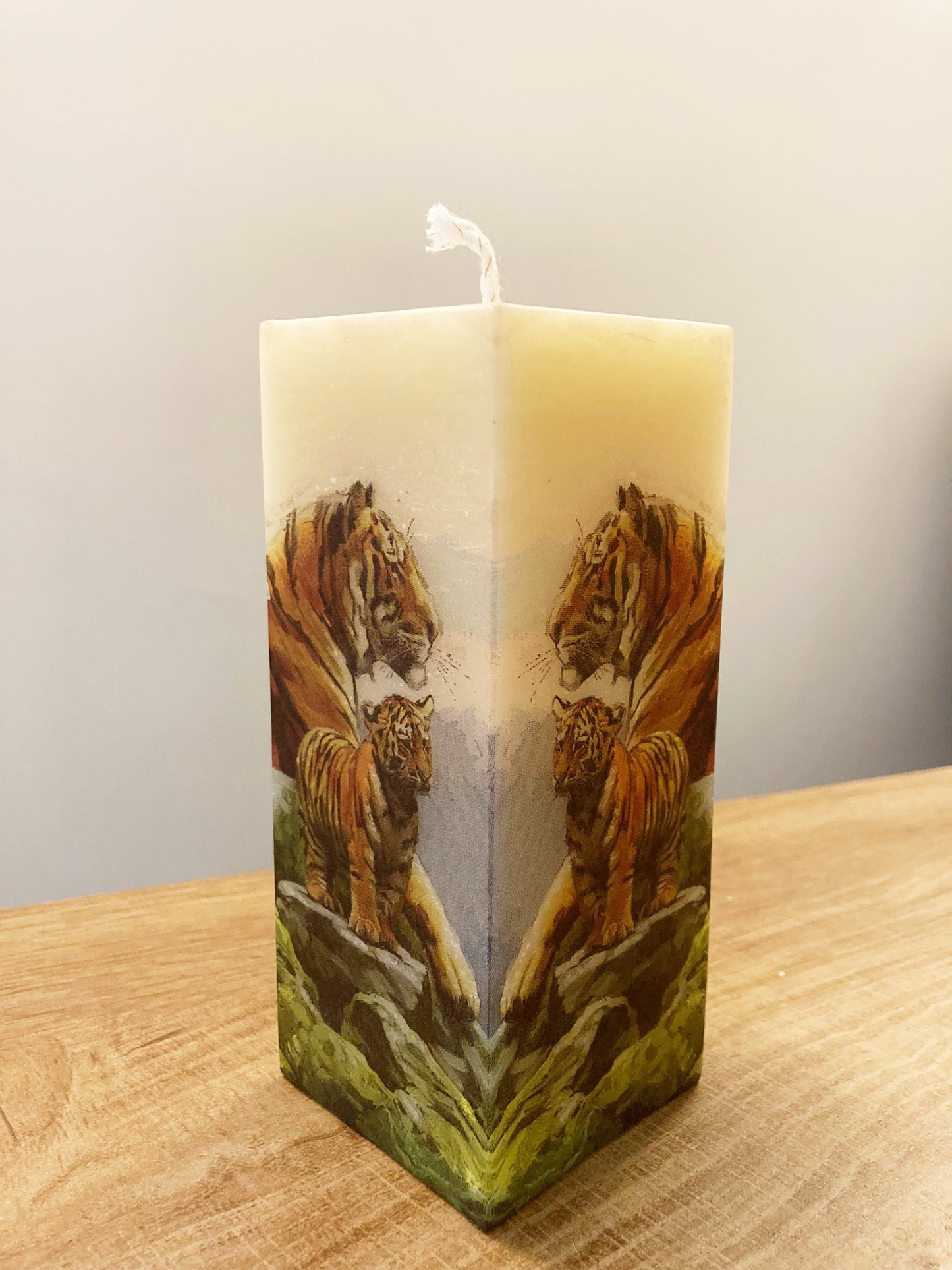 Tigers Reflecting Candle