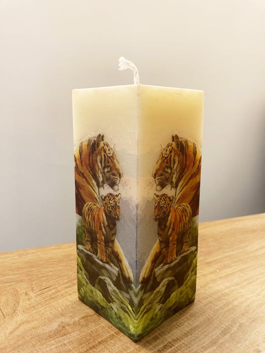 Tigers Reflecting Candle