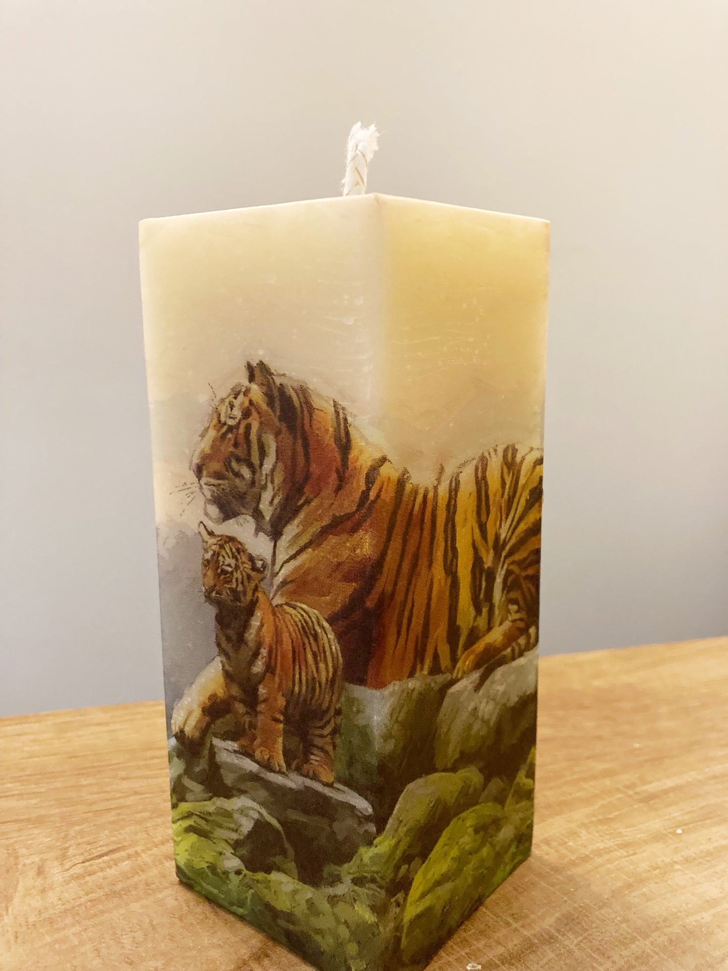 Tigers Reflecting Candle