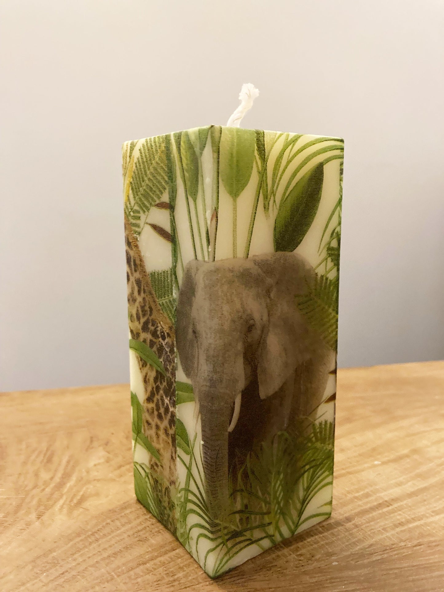 Tiger and Safari Friends Candle