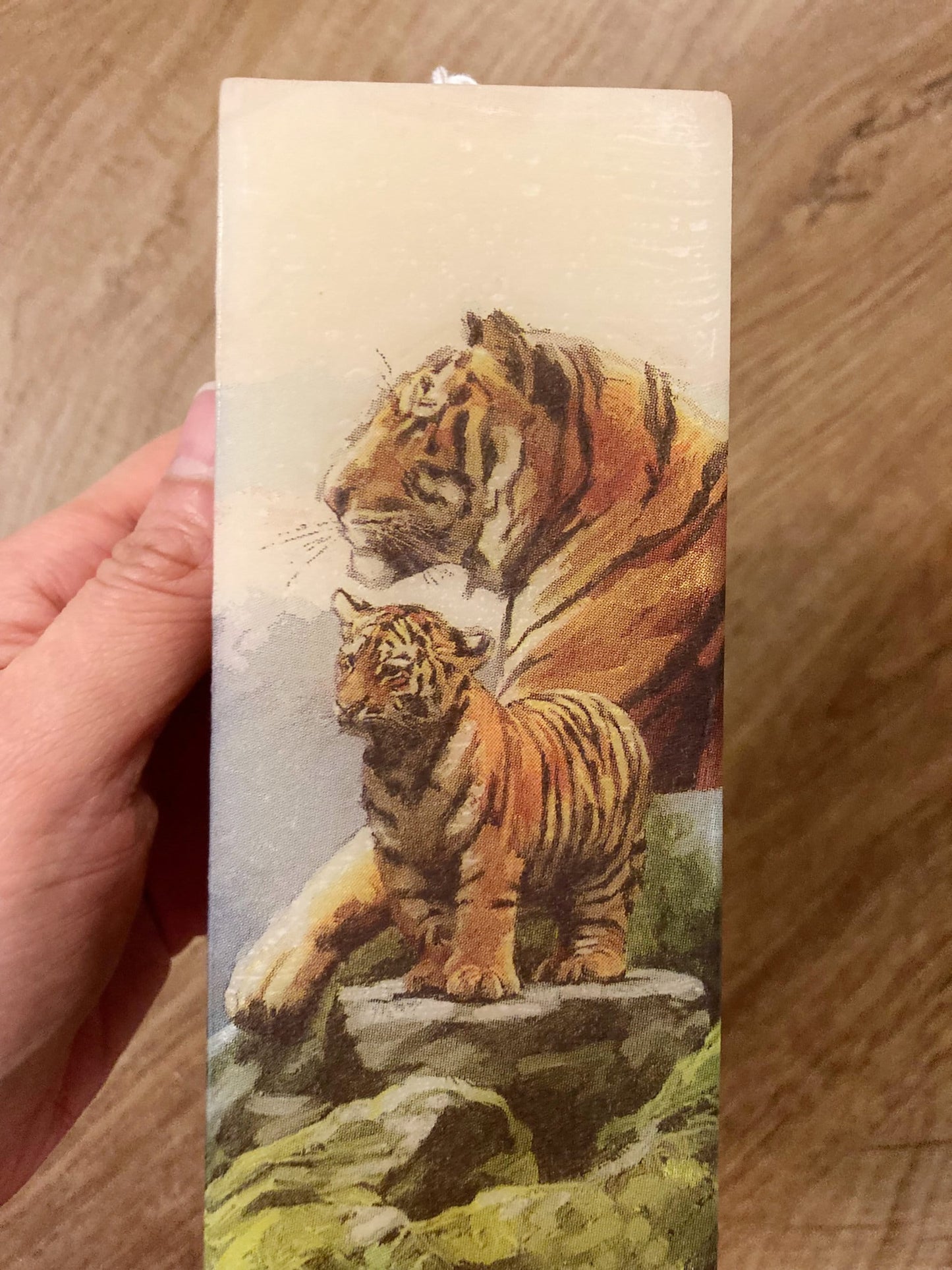 Tigers Reflecting Candle