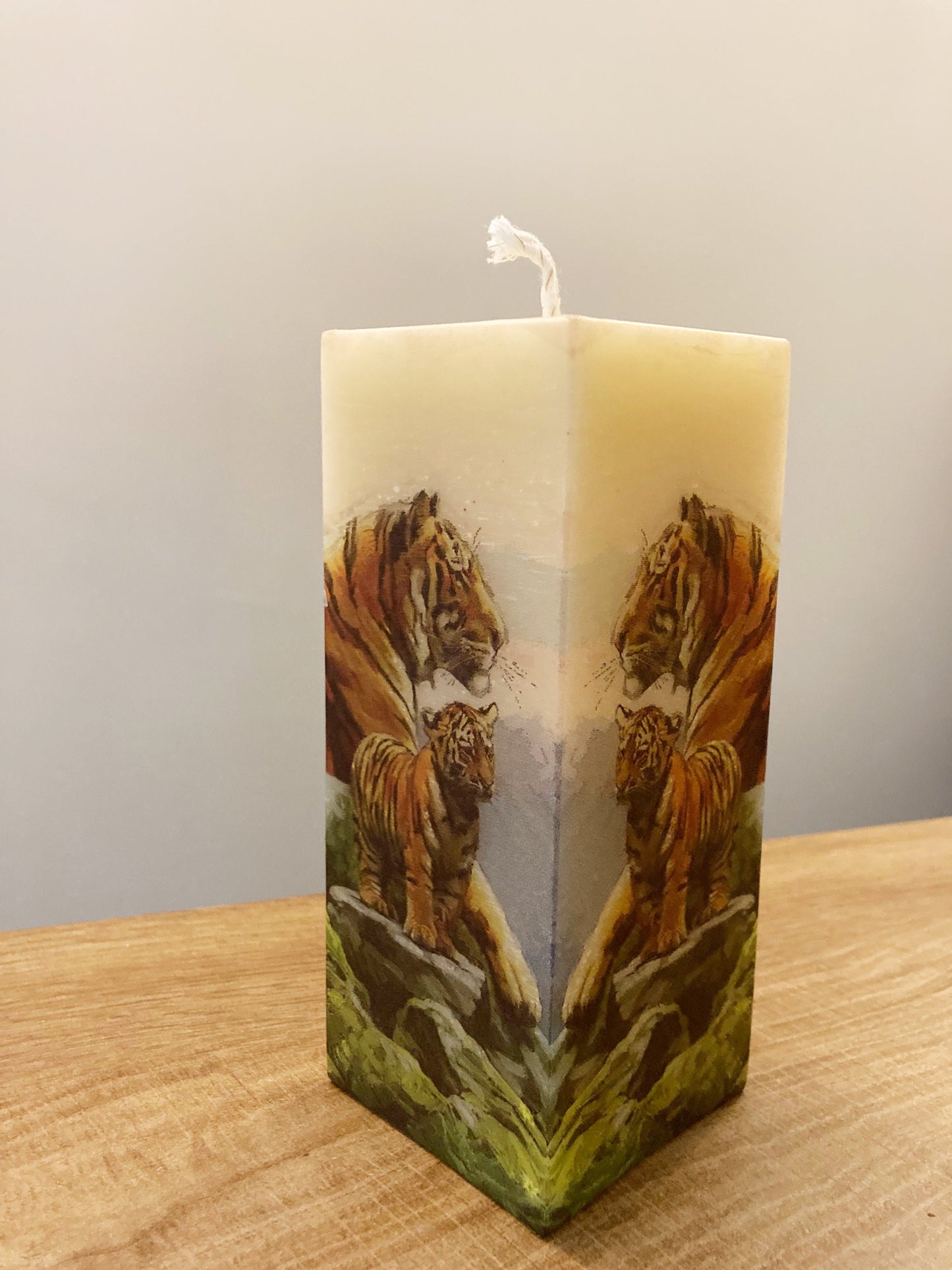 Tigers Reflecting Candle