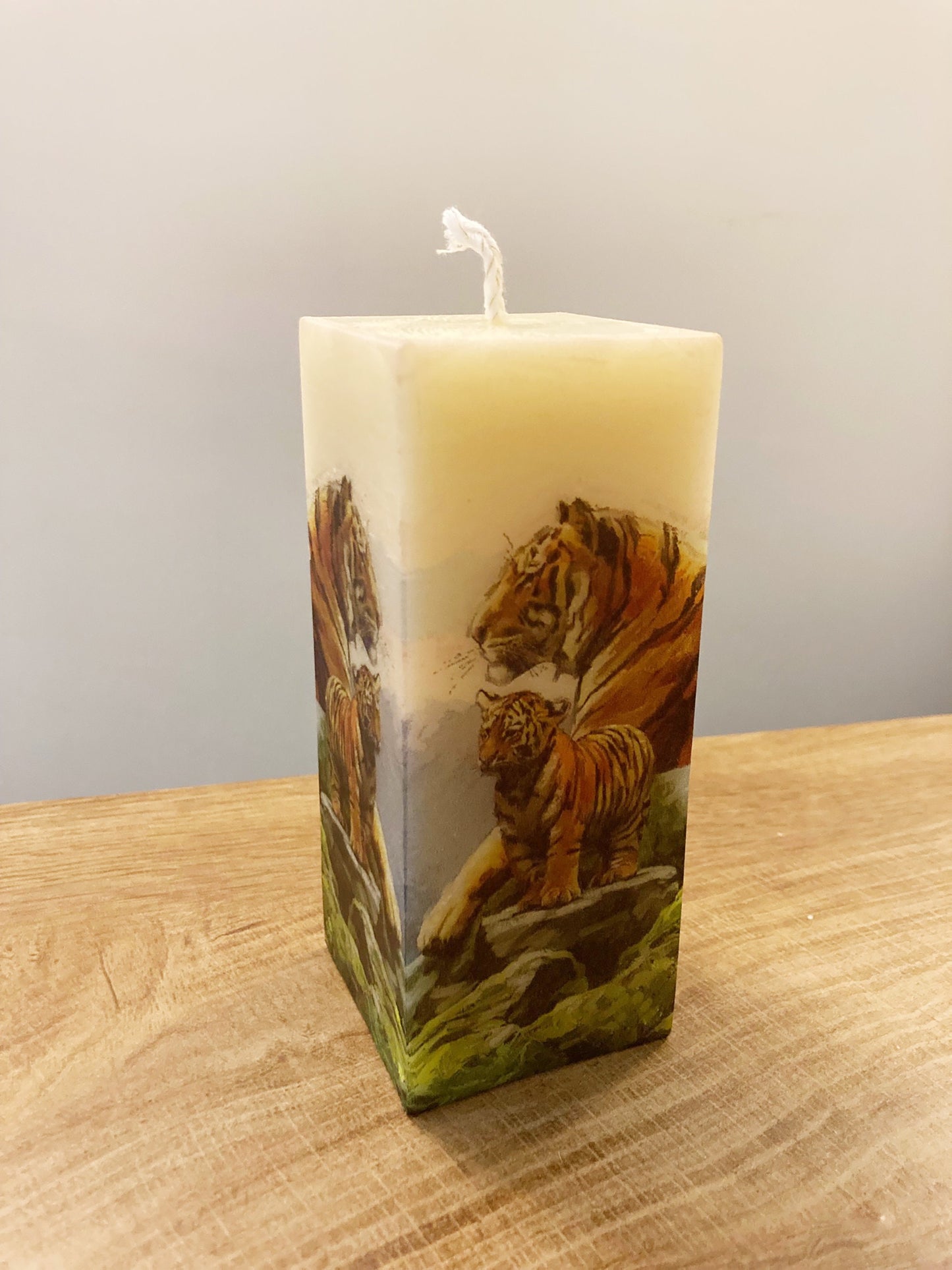 Tigers Reflecting Candle