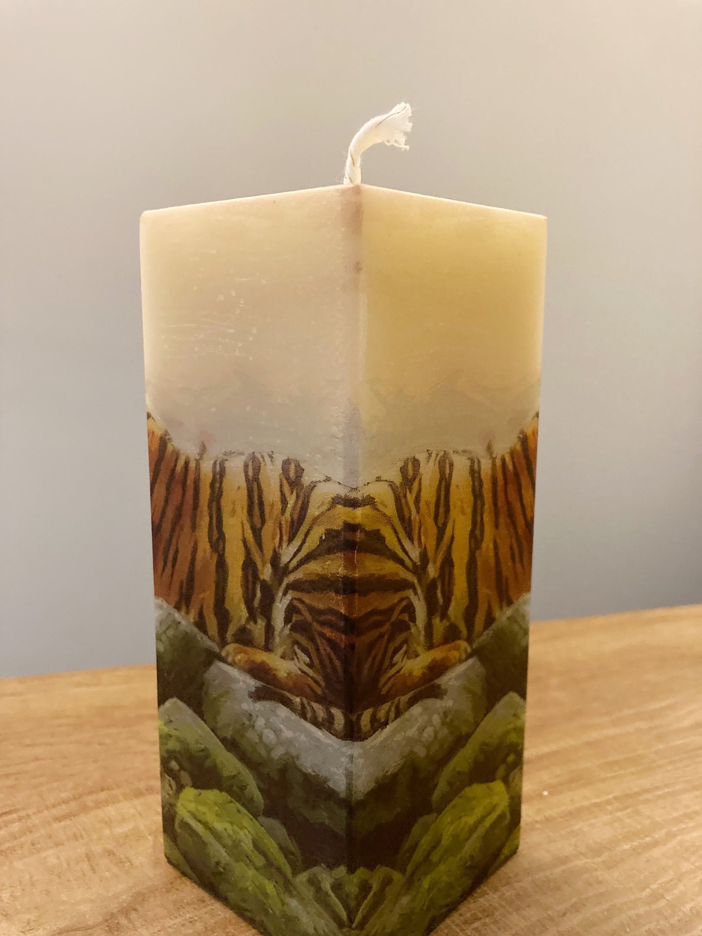 Tigers Reflecting Candle